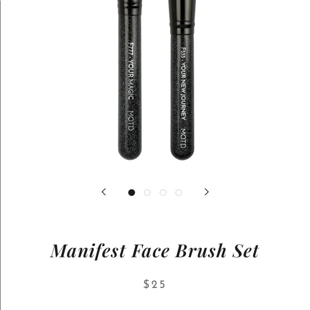 *NWT* MOTD Brush Set